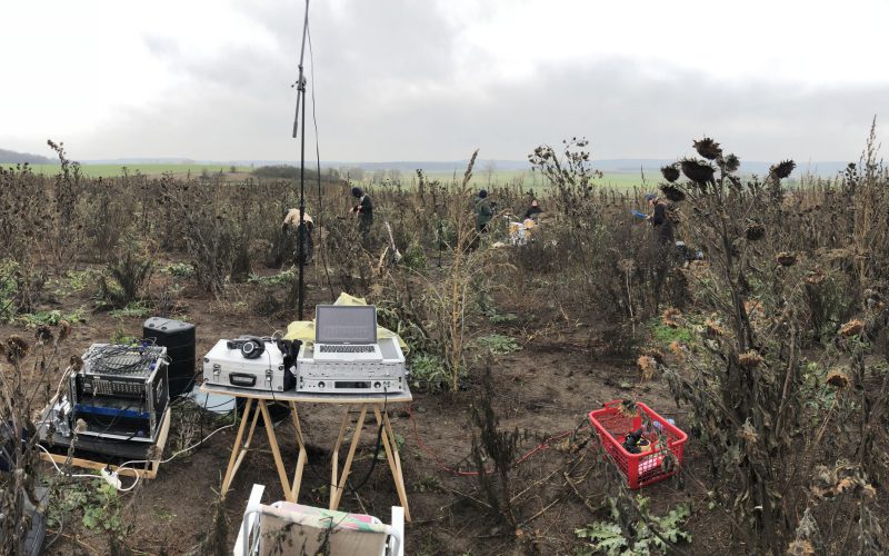 Mobiles Recording: Live-Musikvideoproduktion mit Tilman für "Blume im Grau" auf einem Sonnenblumenfeld im November. Die Atmosphäre war atemberaubend. (Bild: C. Stapff)
